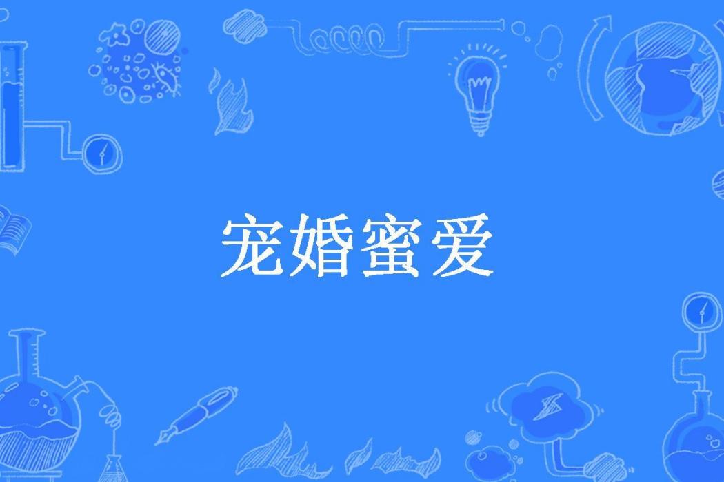 寵婚蜜愛(洛淺淺所著小說)