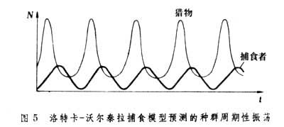 種群動態模型