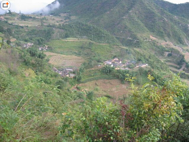 大柏樹自然村(雲南寧洱縣德化鄉下轄村)