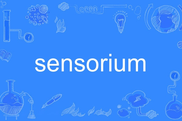 sensorium