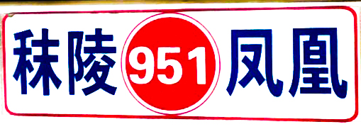 南京公交951路