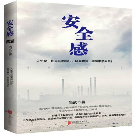 安全感(2015年北京聯合出版公司出版的圖書)