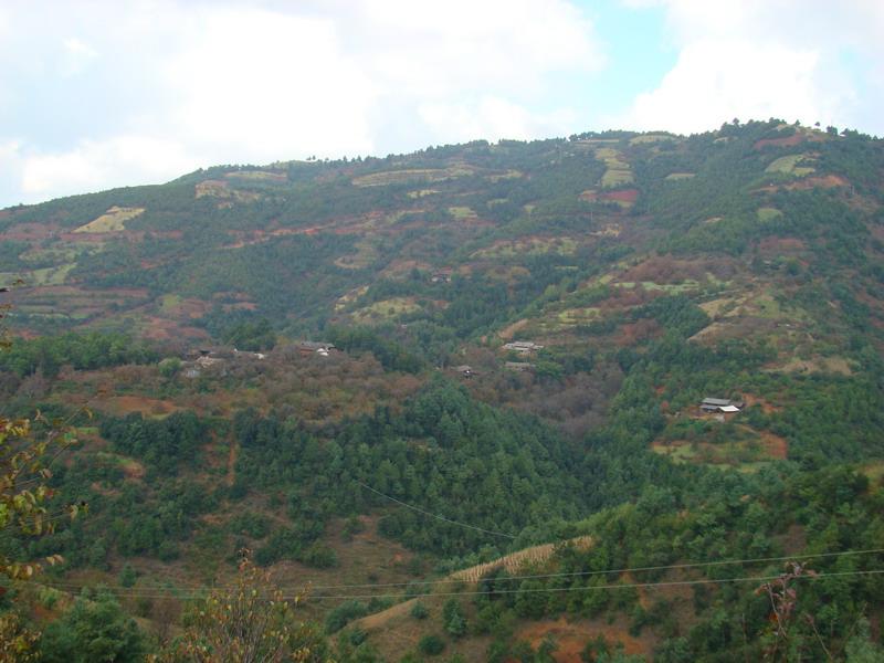 大理市雙廊鎮伙山村委會碧雲村村莊全貌