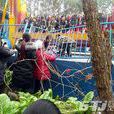 重慶朝華公園遨遊太空事故