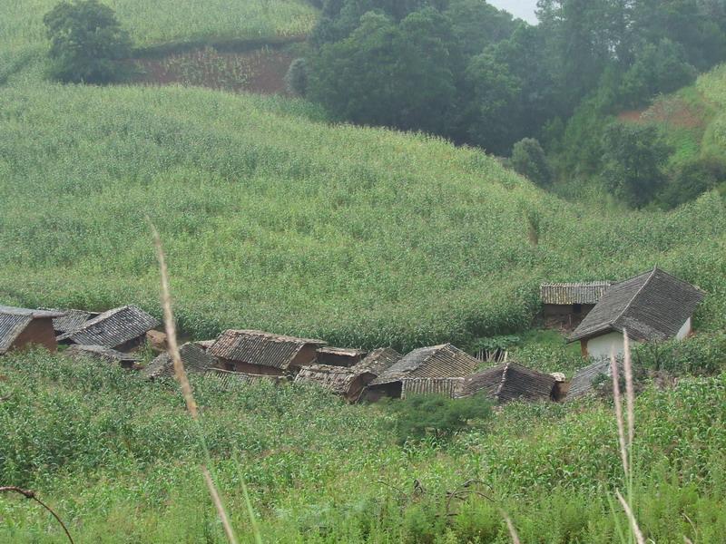 僳沙村旱地