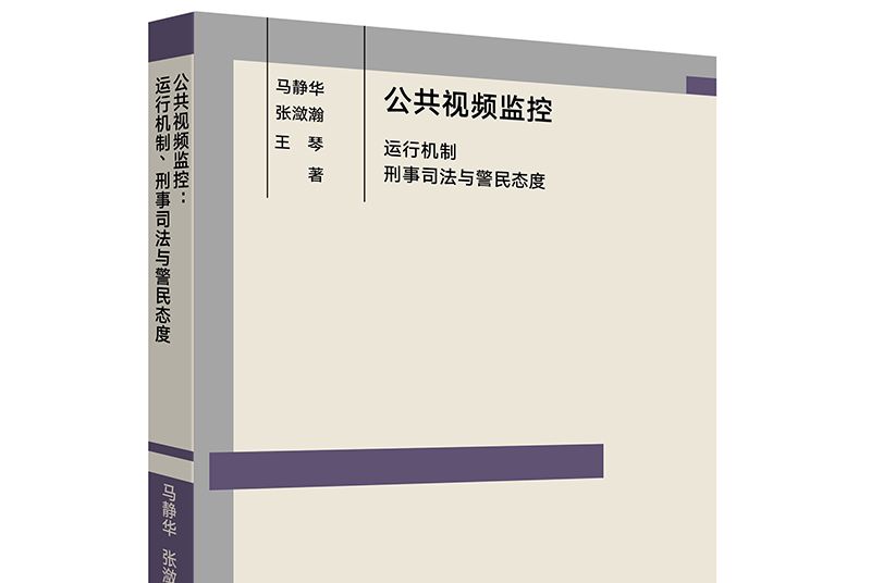 公共視頻監控：運行機制、刑事司法與警民態度