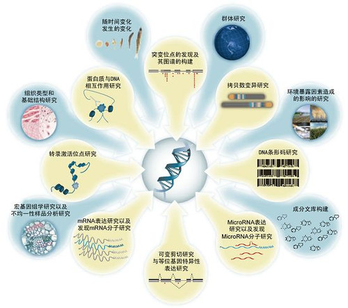 DNA元件百科全書計畫