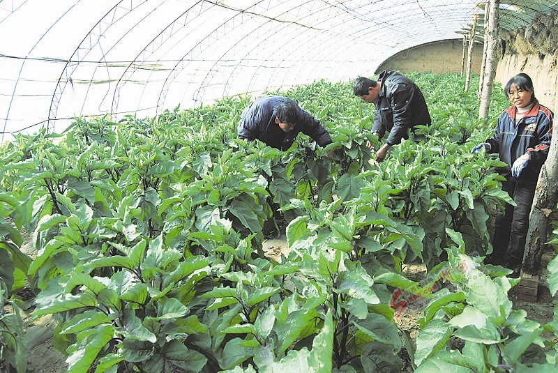 東冶村(河北平山縣平山鎮下轄村)