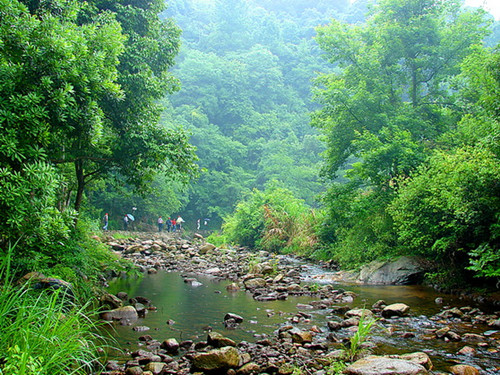 目連山省級森林公園