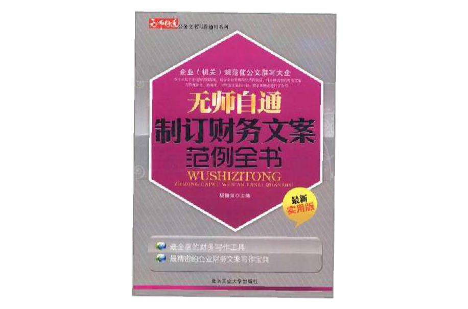 無師自通制訂財務文案範例全書