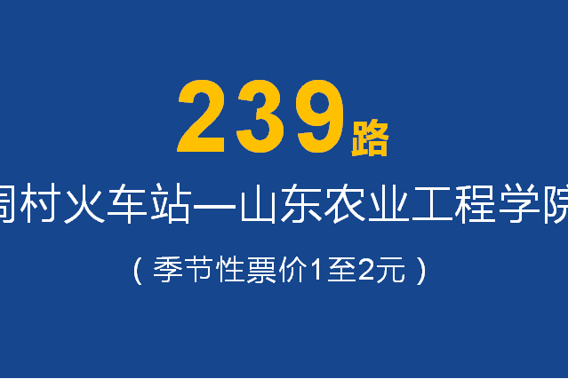 淄博公交239路