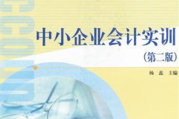 中小企業會計實訓(2006年高等教育出版社出版的圖書)