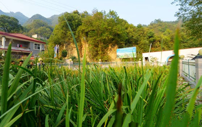 陳家河村(湖北省黃岡市英山縣孔家坊鄉陳家河村)