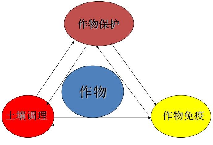 健康植保三道防線