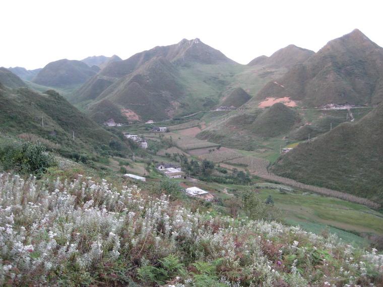 黃連村(雲南昭通市鎮雄縣下轄村)