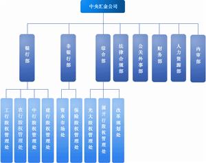 匯金公司組織結構