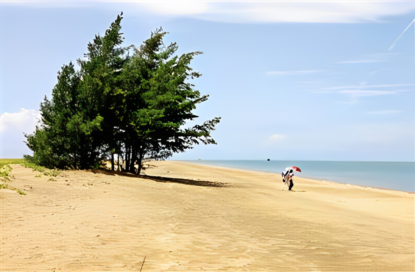 羅斗沙島