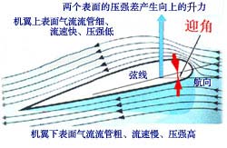 非對稱翼型