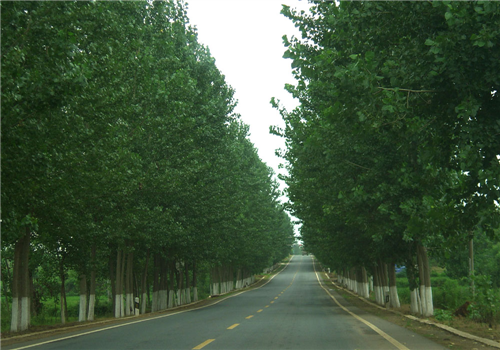 萬福村(吉林省白山市撫松縣萬良鎮下轄村)