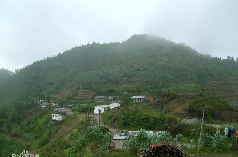 丁龍村(雲南綠春縣大水溝鄉下轄村)