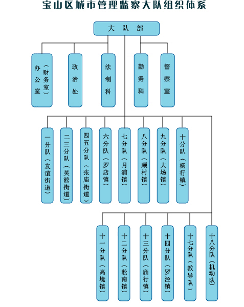 寶山區城市管理監察大隊