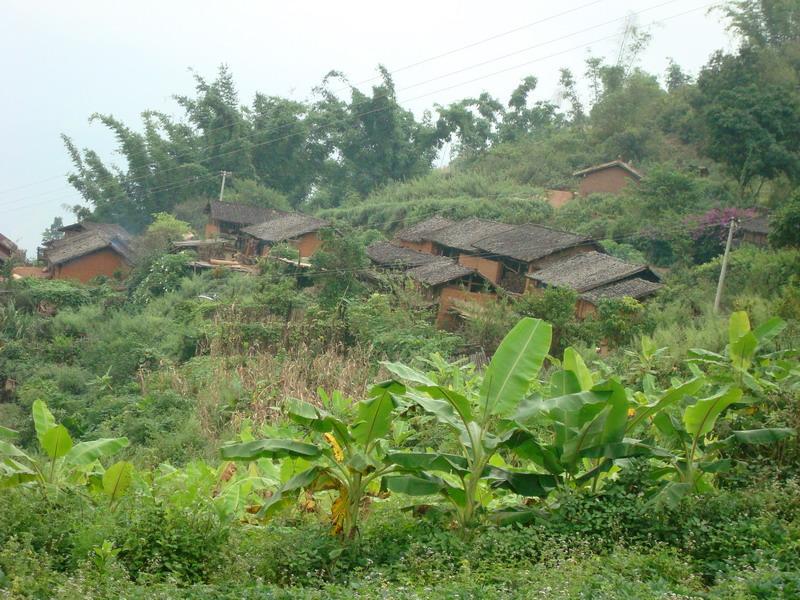 小遷德自然村