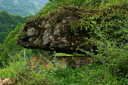 鱷魚石