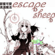 escape sheep