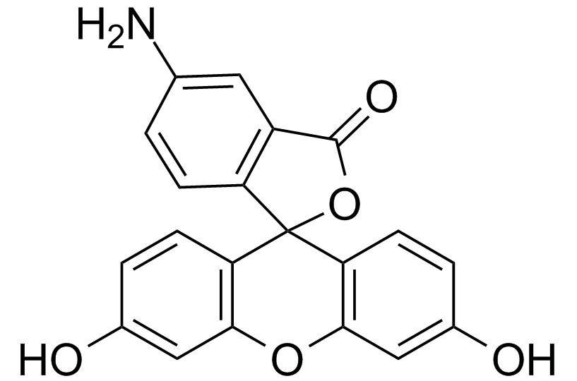 5(6)-氨基螢光素