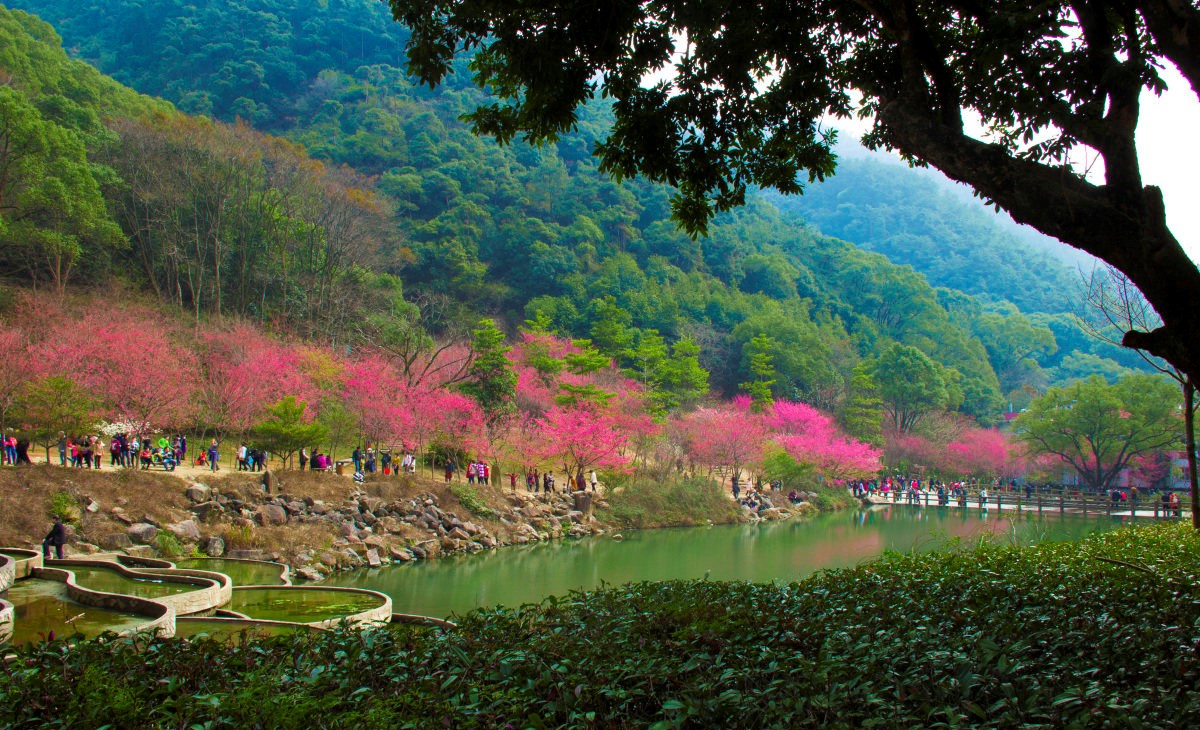 閩江源國家森林公園