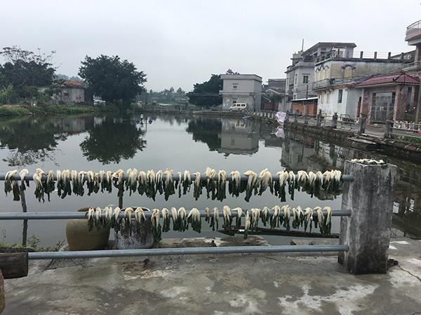 倉前村(廣東省汕尾市海豐縣可塘鎮下轄村)