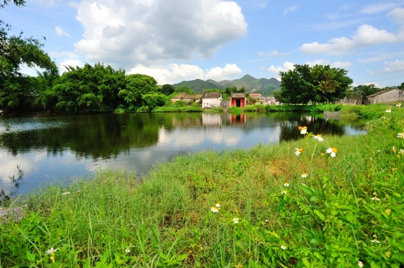 糧田村(廣東普寧市大壩鎮下轄村)