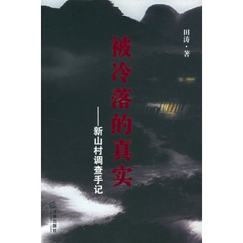 被冷落的真實：新山村調查手記