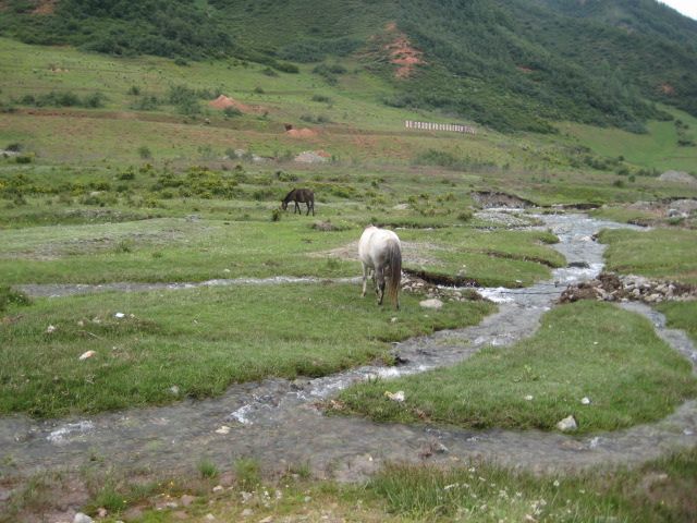 文祖口水庫