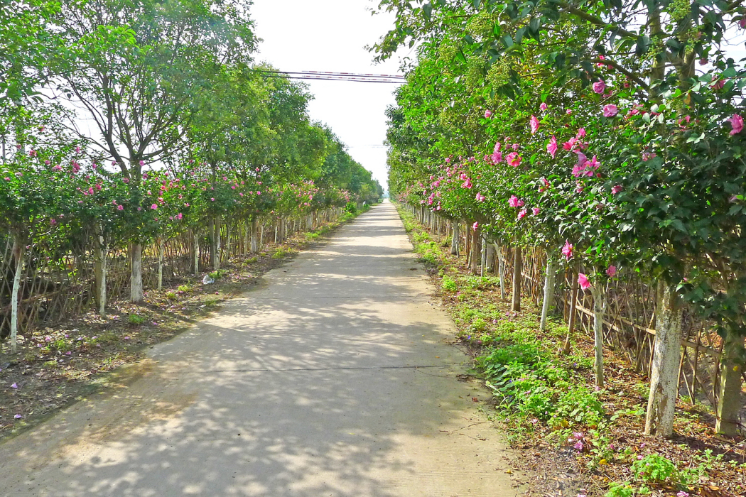 九州農業生態示範園