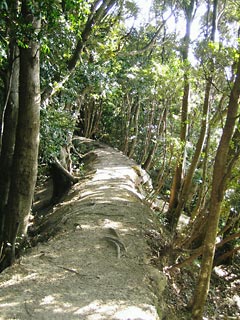 熊野參拜道大邊路