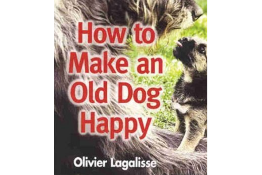 How to Make an Old Dog Happy