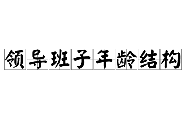 領導班子年齡結構