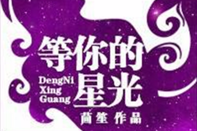 等你的星光(2016年江蘇文藝出版社出版圖書)