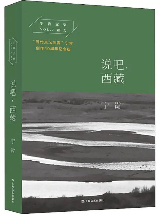 說吧，西藏(2019年上海文藝出版社出版的圖書)