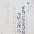 作為方法論原則的元語言理論