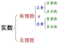 非正整數