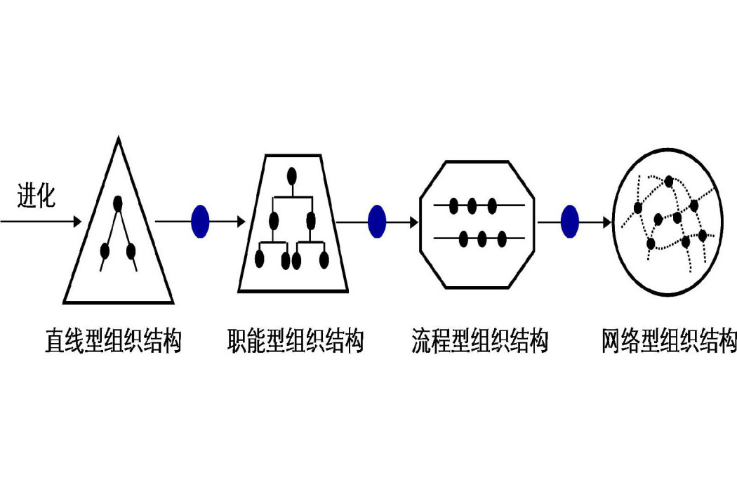 組織結構演變規律