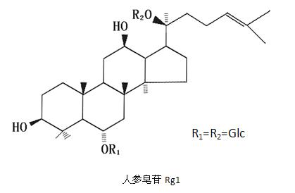 含量最多的人參皂苷Rg1