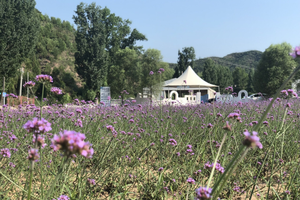 紫海香堤藝術莊園