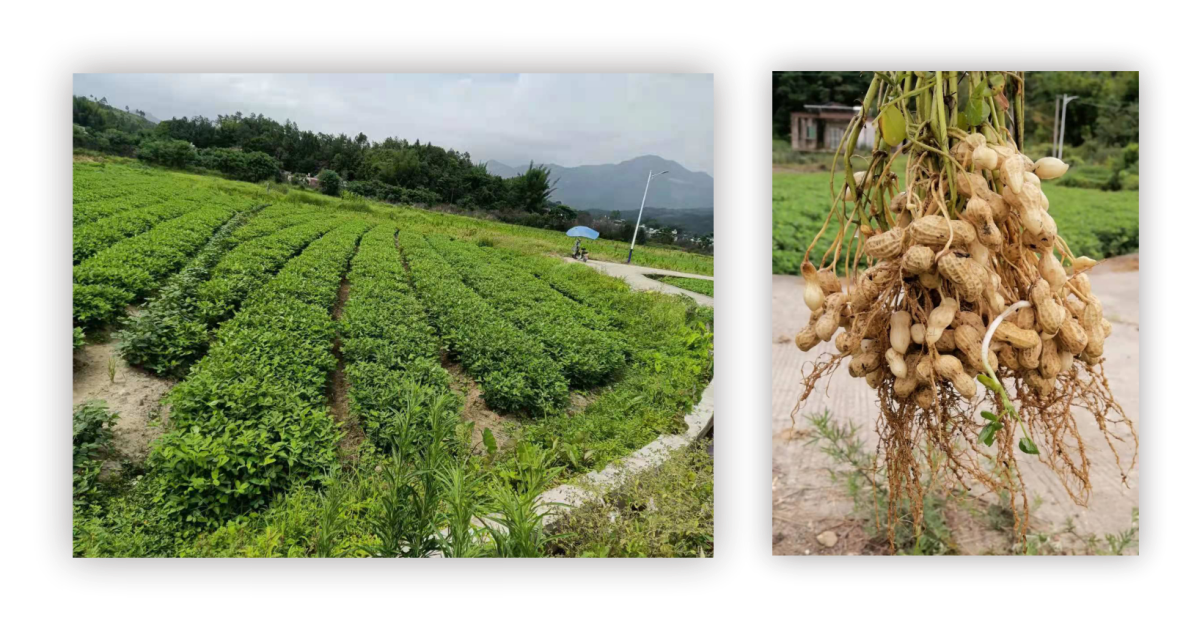 深圳朗明環境科技股份有限公司