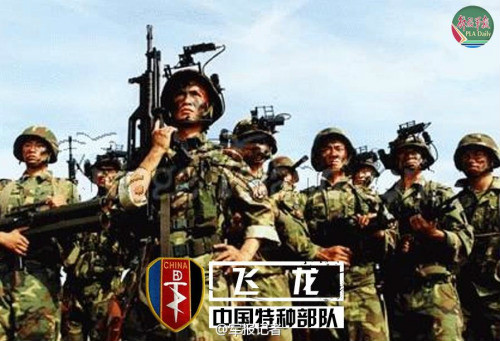 南京軍區“飛龍”特種大隊