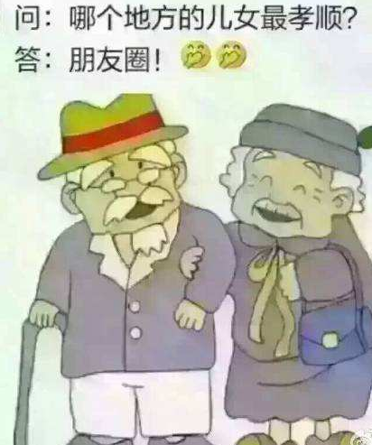 朋友圈孝子