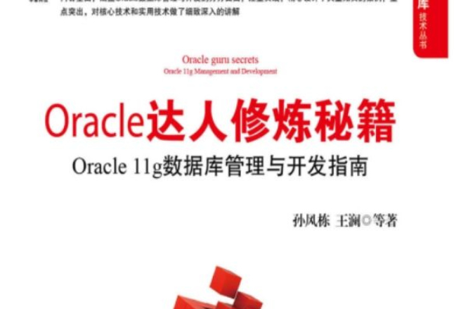 Oracle達人修煉秘籍：Oracle 11g資料庫管理與開發指南