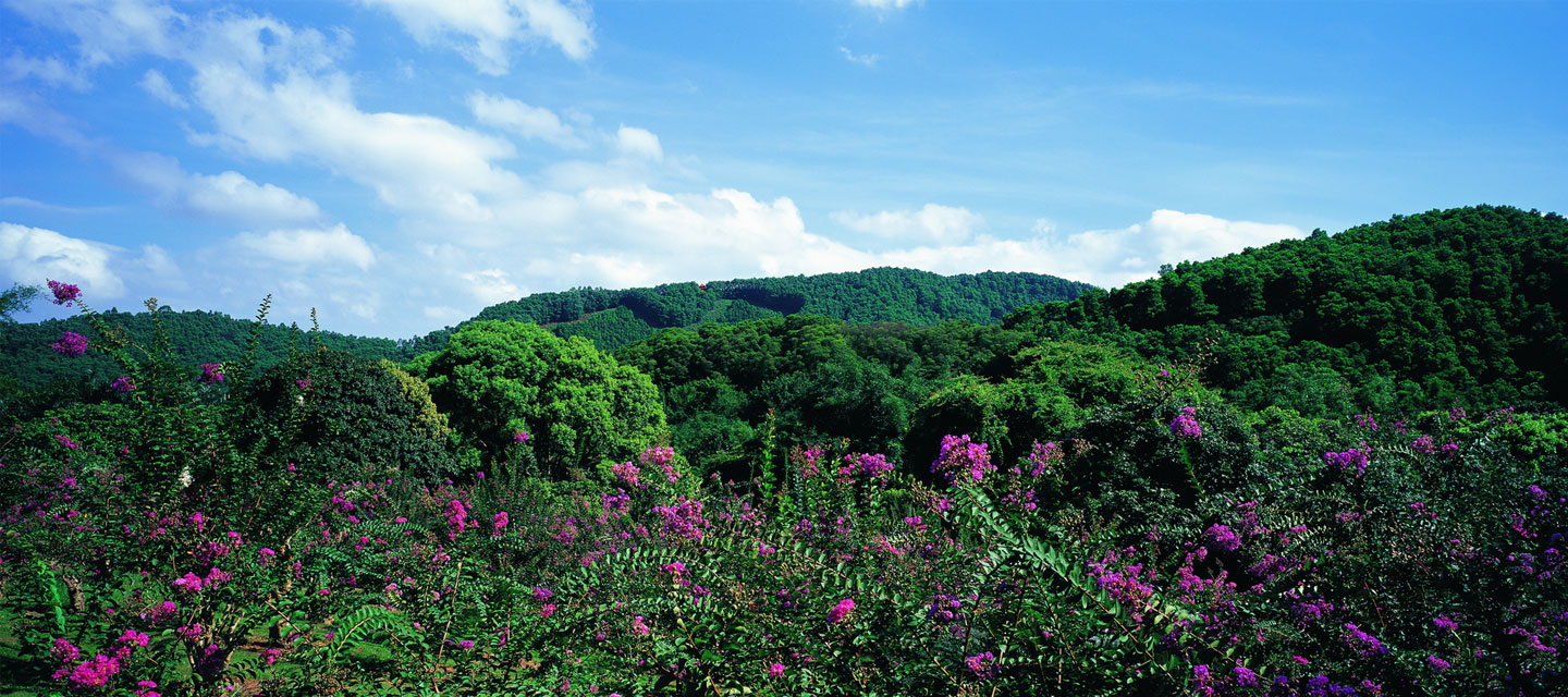 深圳市中國科學院仙湖植物園